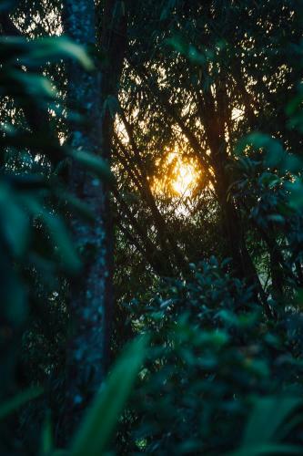 Villa Republic Bandarawela