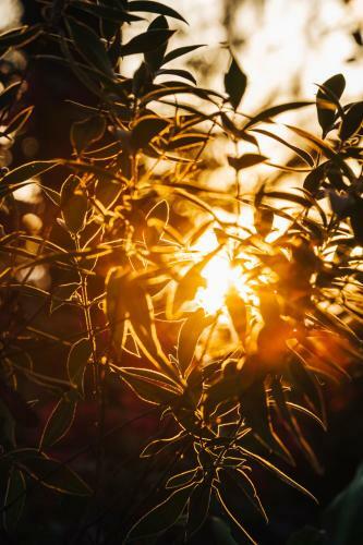 Villa Republic Bandarawela