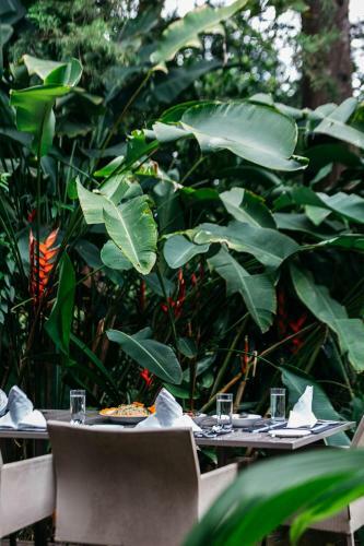 Villa Republic Bandarawela