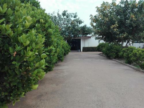 Hotel Chilaw Far Inn Village