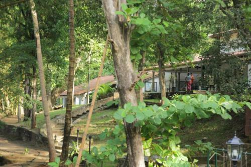 Hostal Dambulu Oya Family Park
