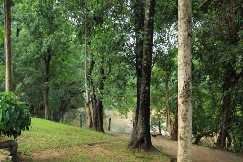 Hostal Dambulu Oya Family Park