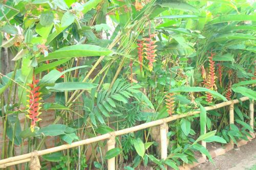 Hostal Blue Seas Guest House