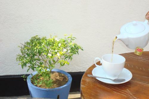 Hostal Blue Seas Guest House