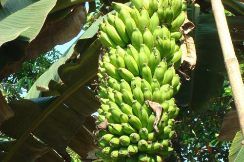 Hostal Blue Seas Guest House