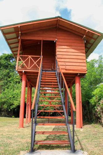 Hotel Sigiri Royal Point Tree House
