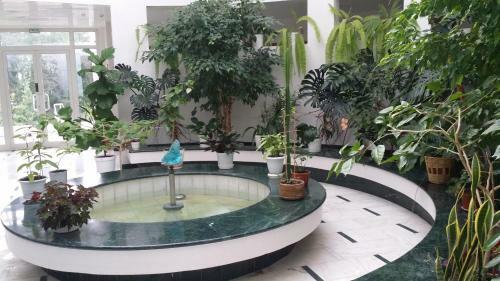 Izumrud Health Resort