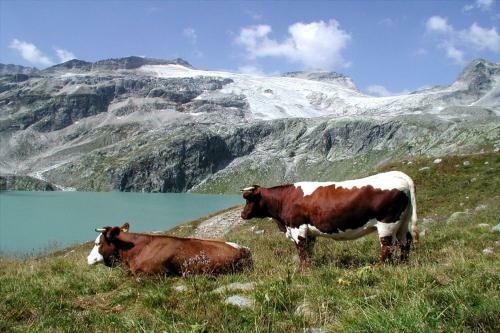 Hostal Pension Stubachblick