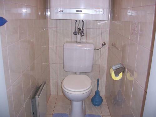 Apartamento Appartement Sonja Im Haus Carinthia