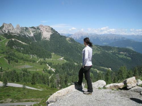 Apartamento Appartement Sonja Im Haus Carinthia