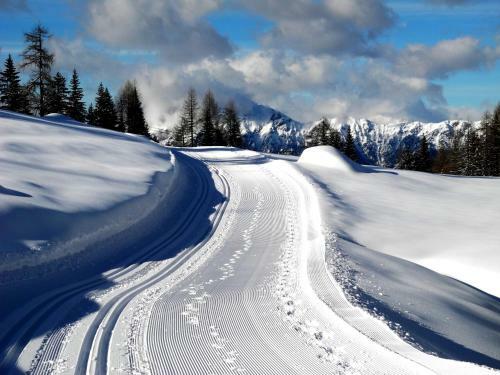 Apartamento Appartements Nassfeld Lux