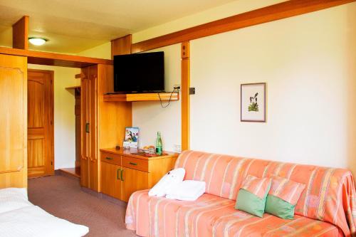 Alpenhotel Plattner