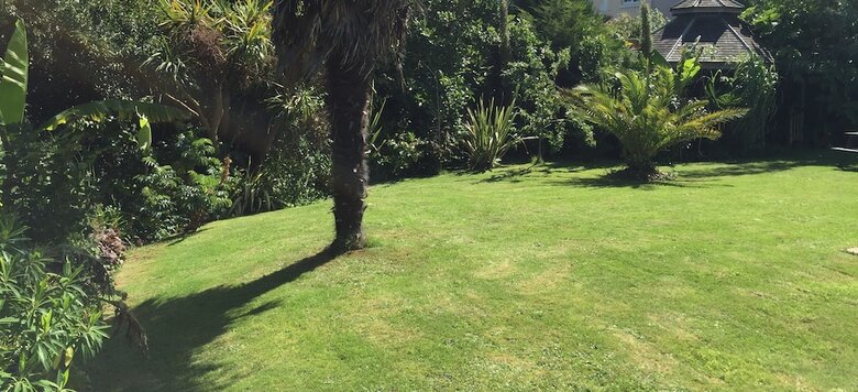 Hotel Palm Grove