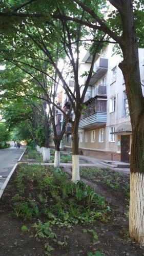 Apartamento ????????-?????? ???????? ????