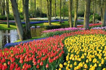 Hotel Crowne Plaza Amsterdam Schiphol