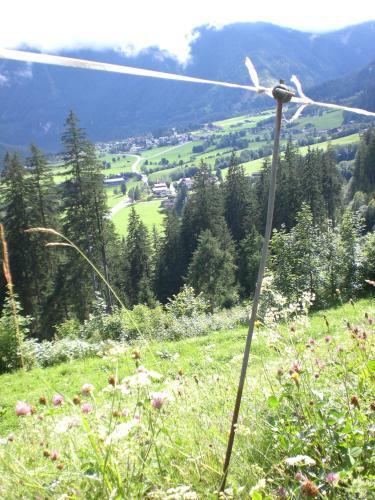 Hostal Gasthof Falkenstein