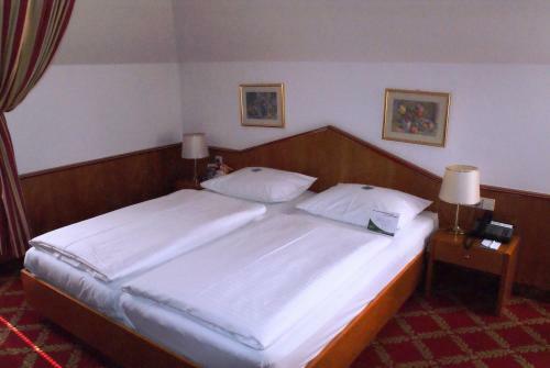 Hostal Gasthof Arkadenhof