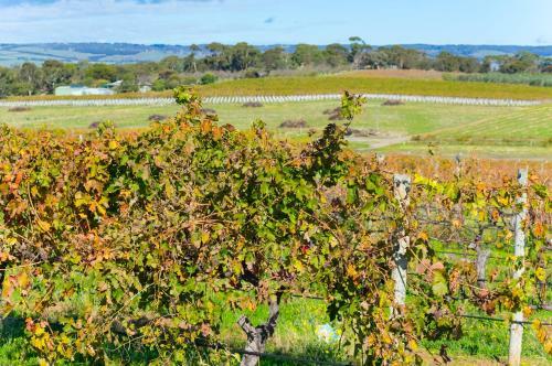 Sun & Surf Aldinga Beach Apartment