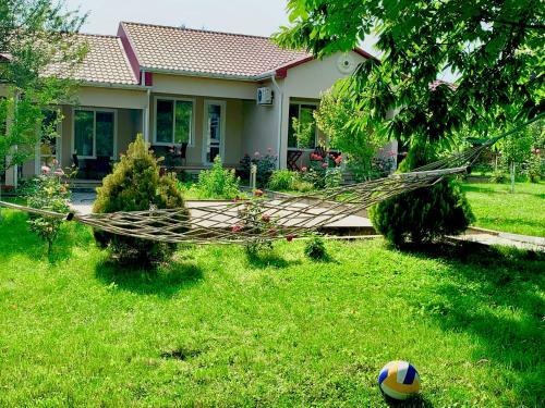 Gabala Dreams