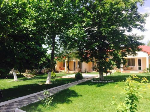Gabala Dreams