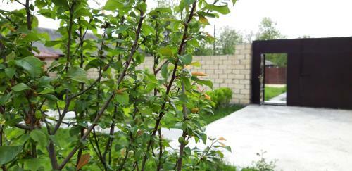 Elnur's Villa Gabala City Center