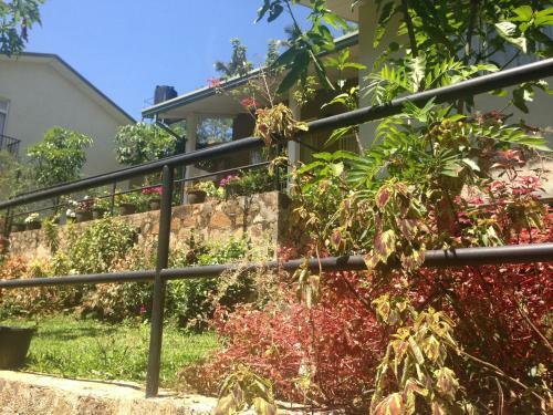 Visal Bungalows