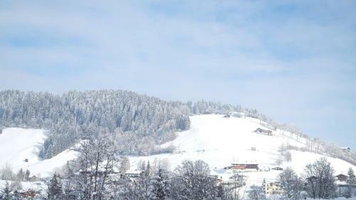 Apartamento Appartement Gwiggner