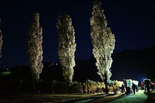 Weinbau Winzerzimmer Veronika Und Alfred Kl�ckl
