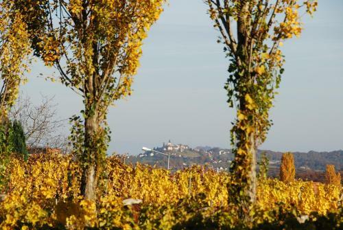 Weinbau Winzerzimmer Veronika Und Alfred Kl�ckl