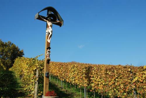 Weinbau Winzerzimmer Veronika Und Alfred Kl�ckl