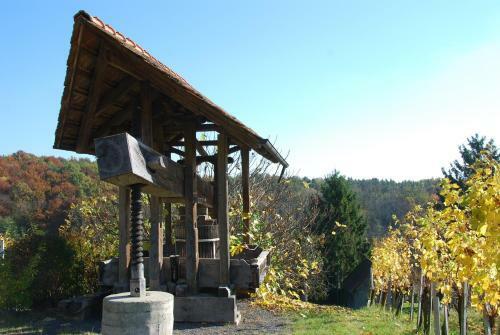 Weinbau Winzerzimmer Veronika Und Alfred Kl�ckl