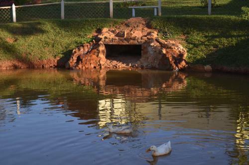 Hotel Pousada Coqueiro Verde Minas Gerais