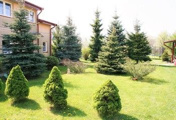 Apartamenty Komfort