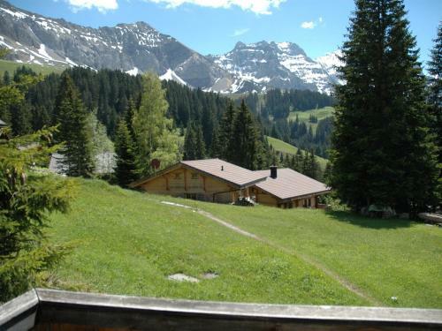 Stylish Chalet In Hoch With Terrace