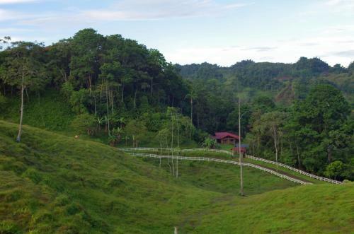 Finca Tres Equis - Farm And Forest