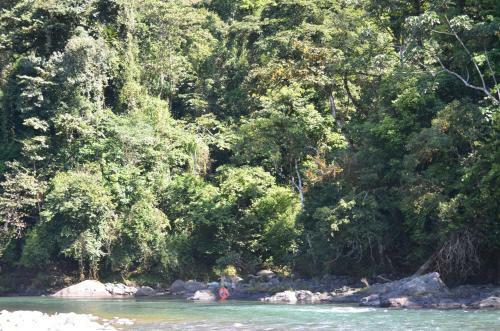 Finca Tres Equis - Farm And Forest