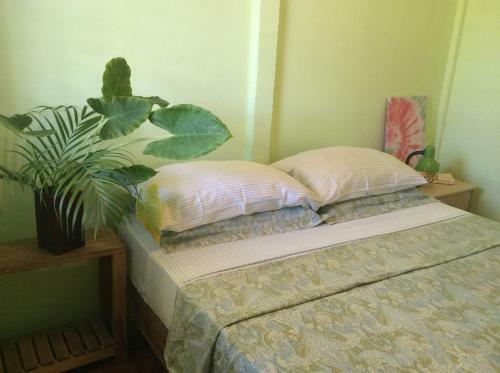 Agroturismo Mi Casa ( El Centro )