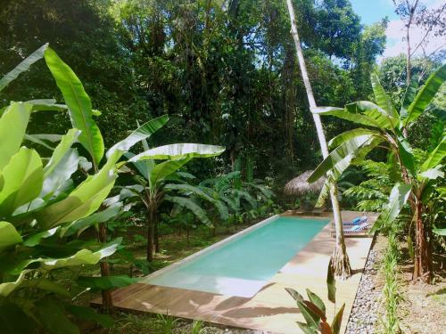 Hotel Golfo Dulce Retreat