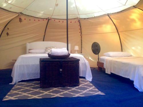 Driftwood Glamping & Boutique Hotel