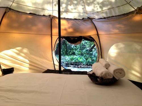 Driftwood Glamping & Boutique Hotel