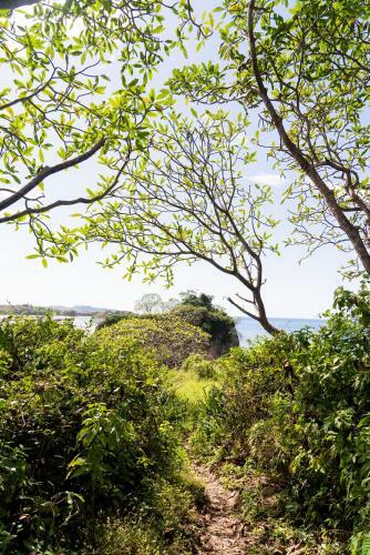Driftwood Glamping & Boutique Hotel