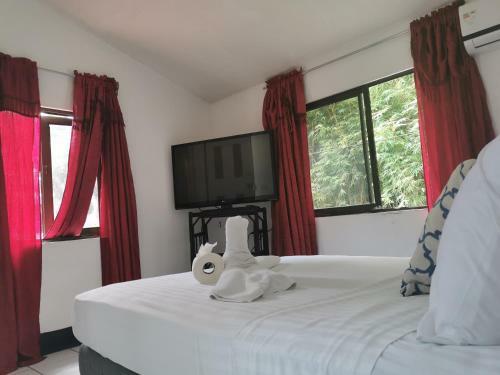 Hostal Hotel Cafe Del Mar, En Valle Pura Vida