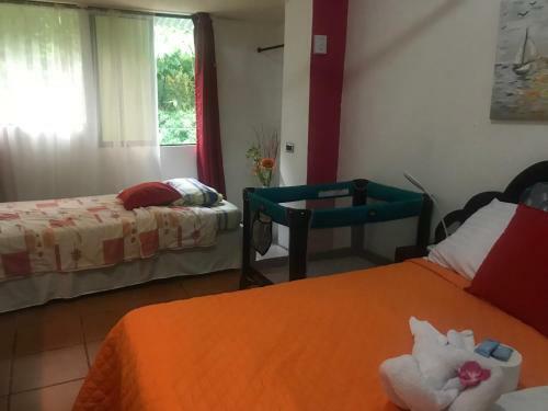Hostal Hotel Cafe Del Mar, En Valle Pura Vida