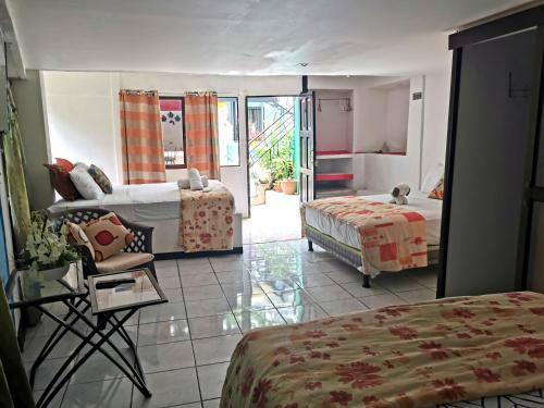 Hostal Hotel Cafe Del Mar, En Valle Pura Vida