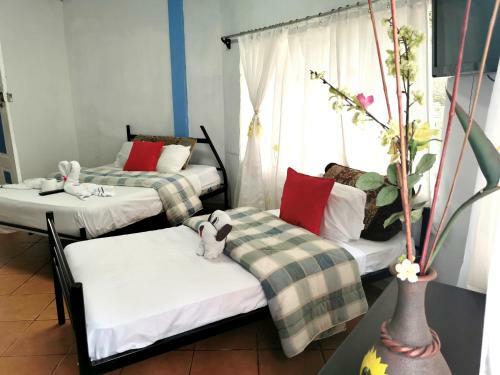 Hostal Hotel Cafe Del Mar, En Valle Pura Vida