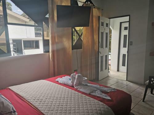 Hostal Hotel Cafe Del Mar, En Valle Pura Vida