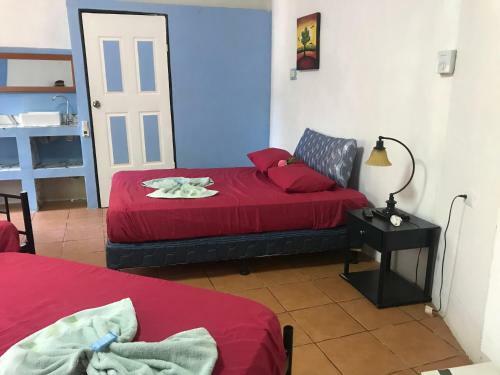 Hostal Hotel Cafe Del Mar, En Valle Pura Vida