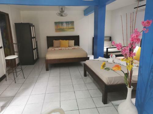 Hostal Hotel Cafe Del Mar, En Valle Pura Vida