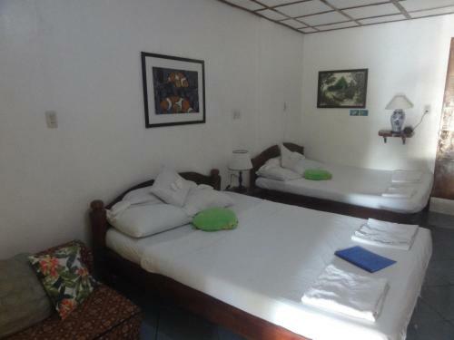 Bed & Breakfast Sea Turtle House Moalboal