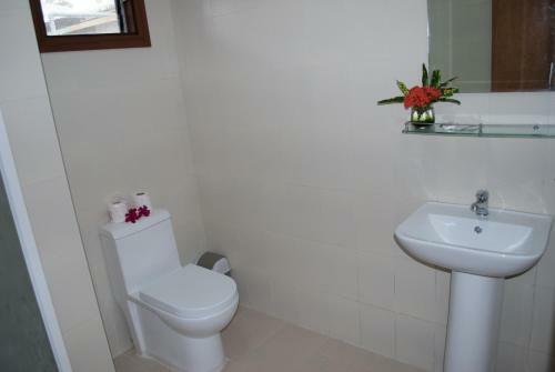 Hotel Quo Vadis Dive Resort